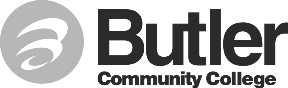 WordPress Website